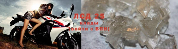 прущие крисы Аркадак