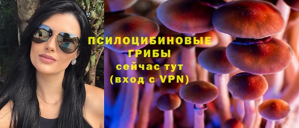 прущие крисы Аркадак