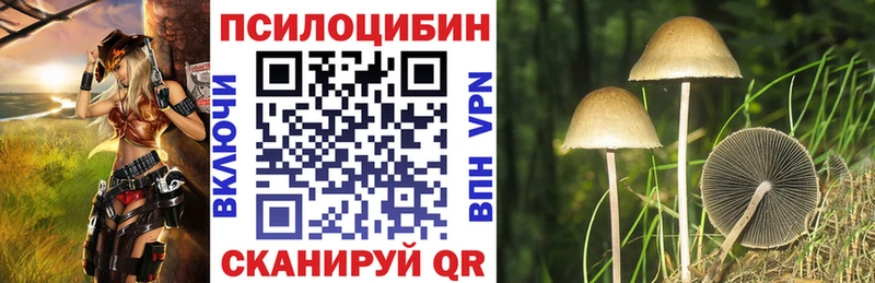 KRAKEN вход  Белая Калитва  Псилоцибиновые грибы Cubensis 